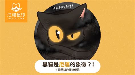 遇到黑貓代表什麼|【汪喵冷知識】你聽過哪些黑貓傳說？ 